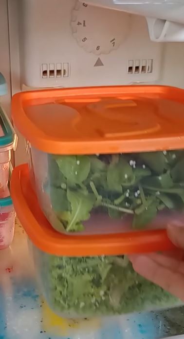 conservar verduras na geladeira por mais tempo