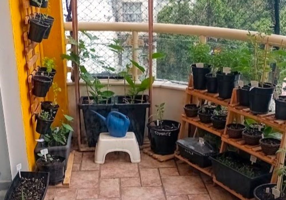 Planejamento de Horta em Apartamento – Parte 1