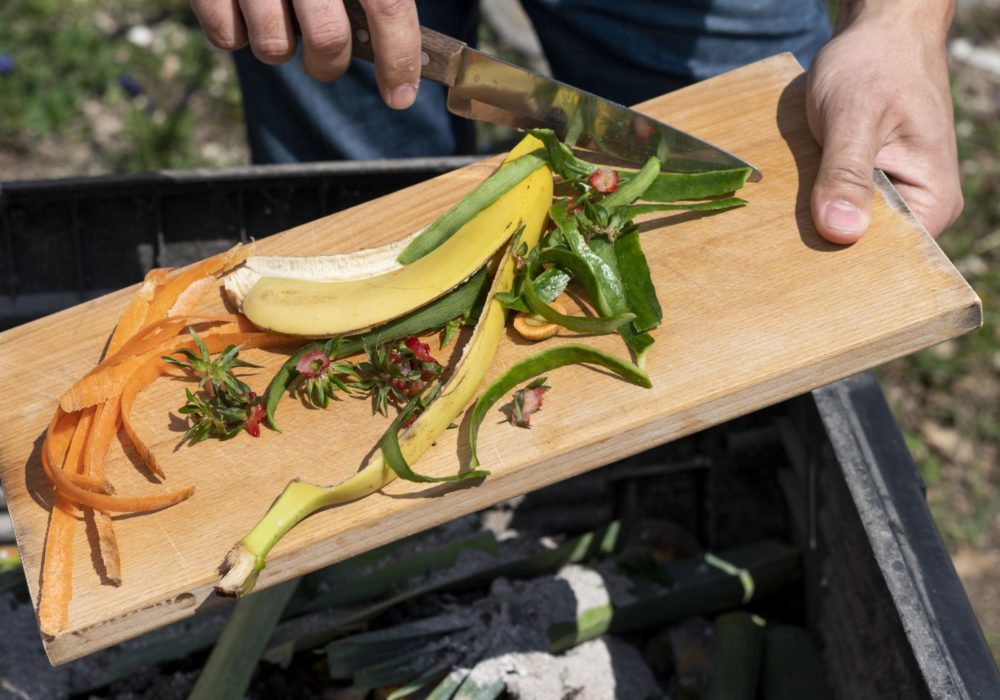 Compostagem Caseira: Ótimo descarte dos Resíduos Orgânicos